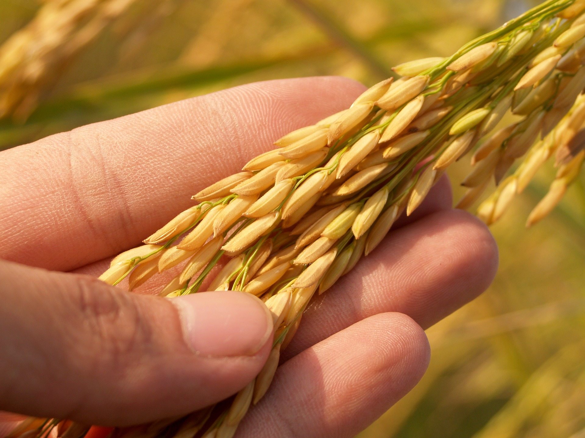 What are the main types of agriculture in Scotland?